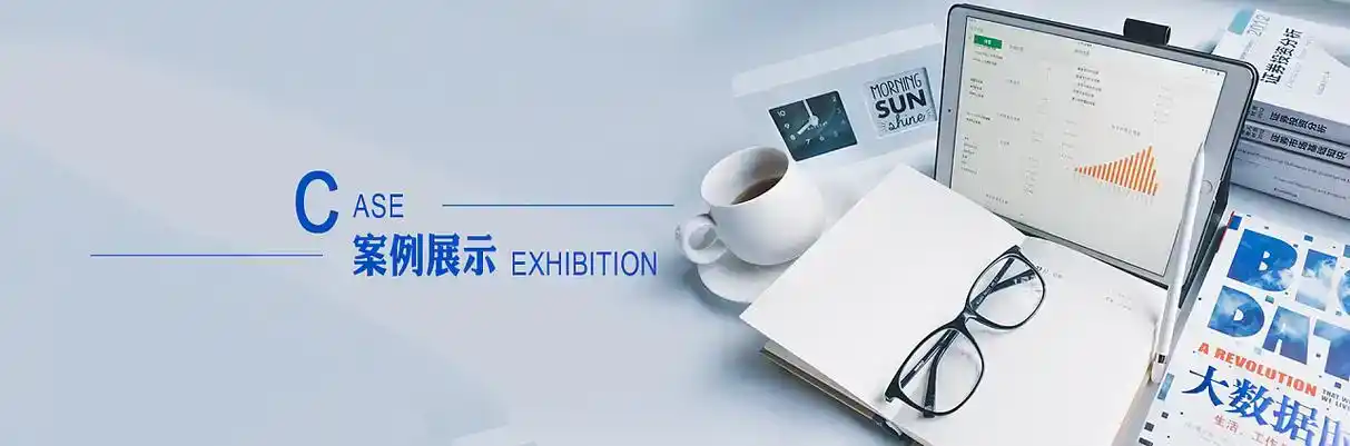 肃北蒙古族自治县软件开发